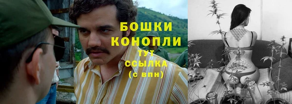 дурь Липки