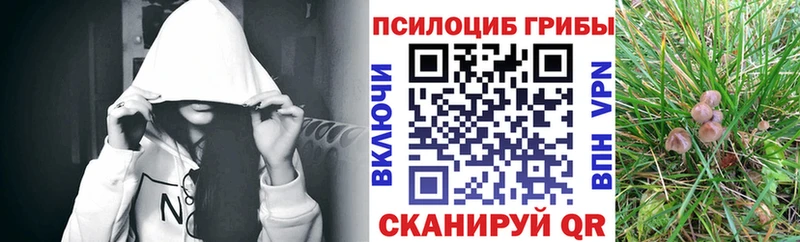 Галлюциногенные грибы Psilocybine cubensis  Горячеводский 